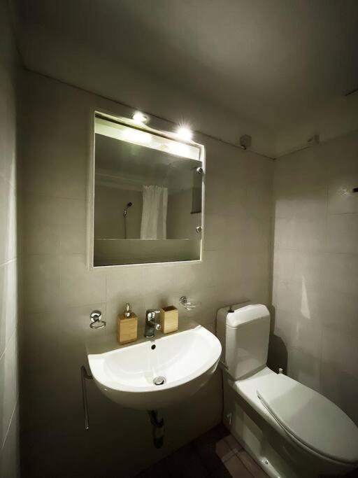 Gotthard House Apartment Лугано Екстериор снимка